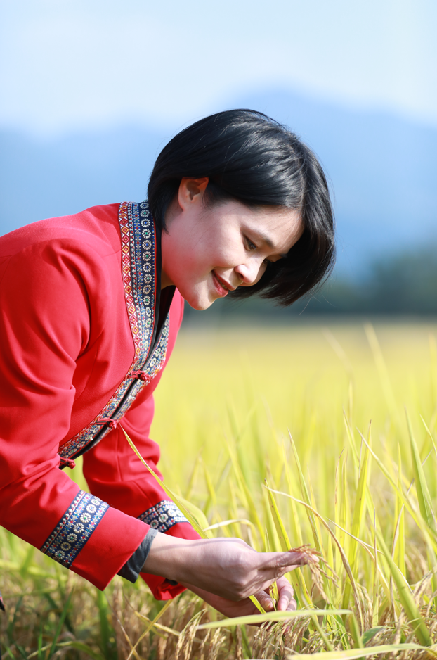 田間(jiān) (2).jpg