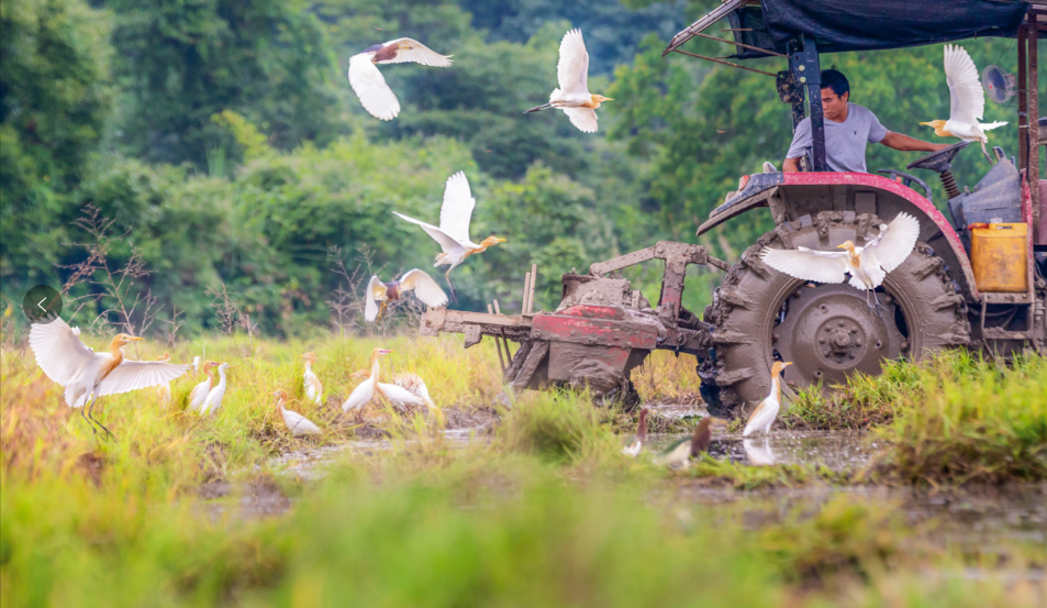 1720426708175.png 1720426708175.png