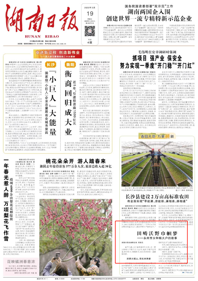 頭版丨田疇沃野巾帼夢——永州市(shì)女(nǚ)種糧大(dà)戶的(de)故事(shì)